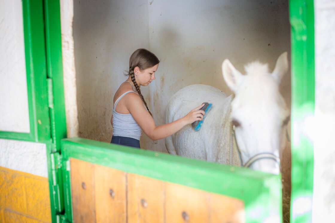 Animal Care