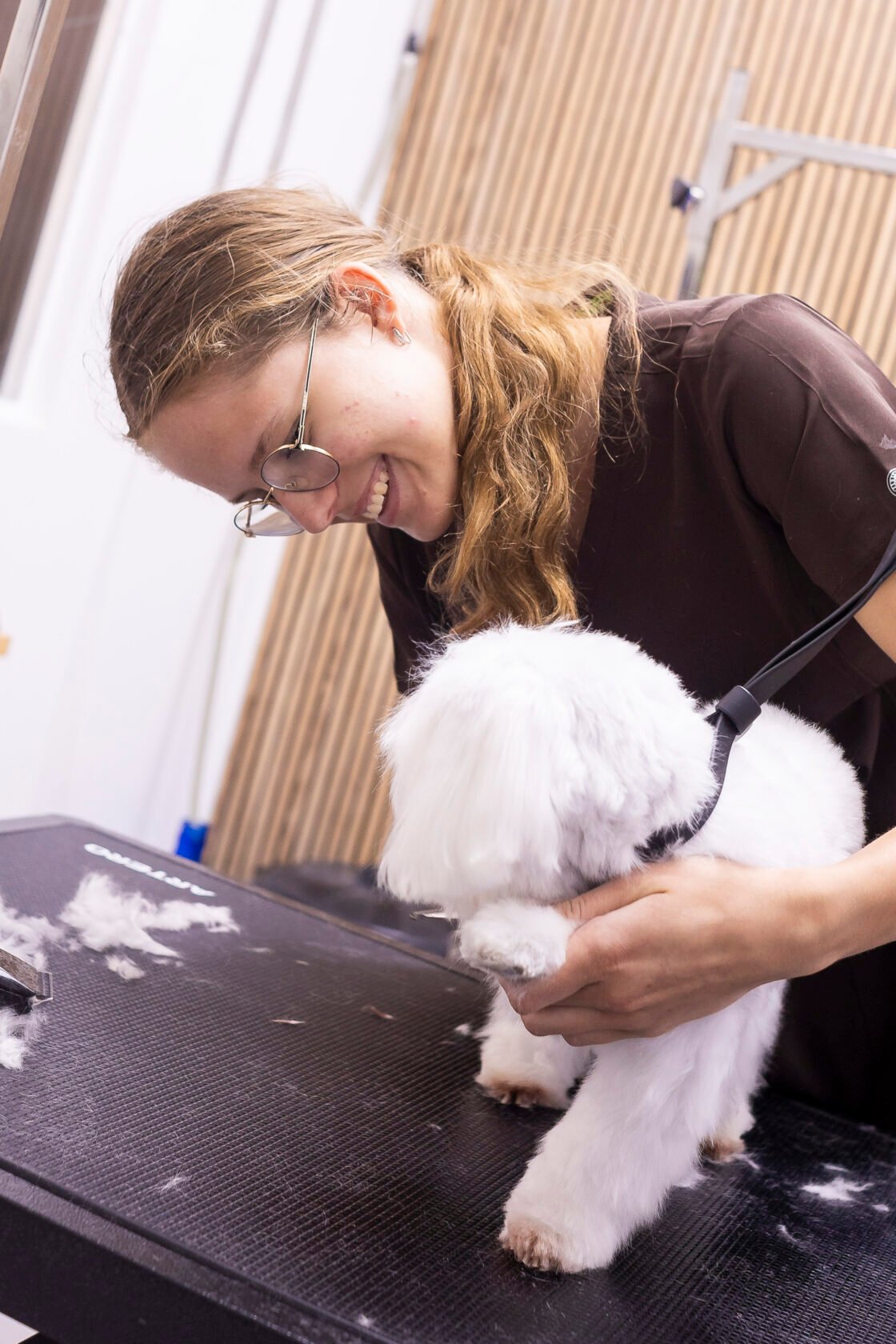 Veterinary